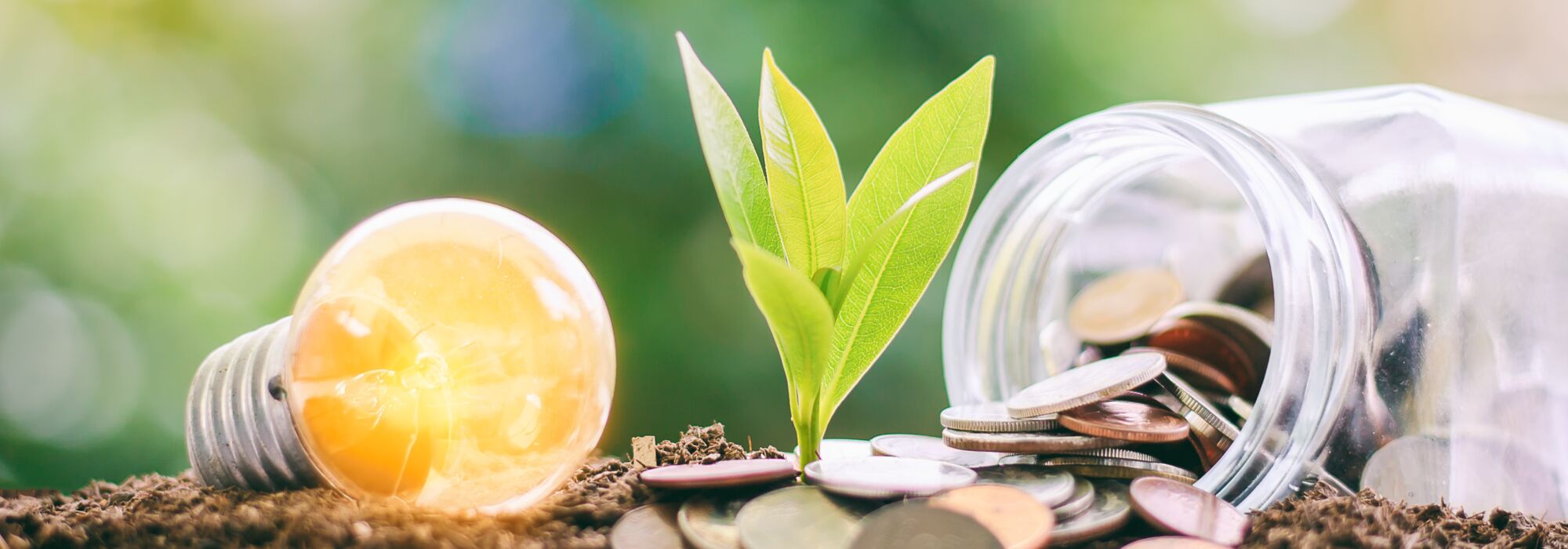 iStock 943324218 Bildnachweis iamnoonmai